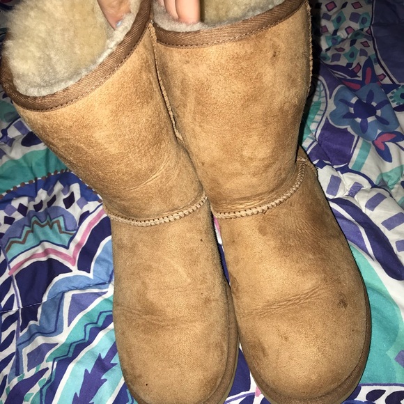 Ugg tan boots - Picture 3 of 8